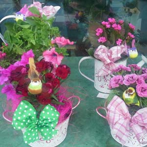 Das Blümchen - Blumen und Mehr: Blumen, Topfpflanzen, Geschenkartikel, Duftkerzen, Raumdüfte, dekorierte Blumenstöcke: dekorierter bunter Blumenstock 